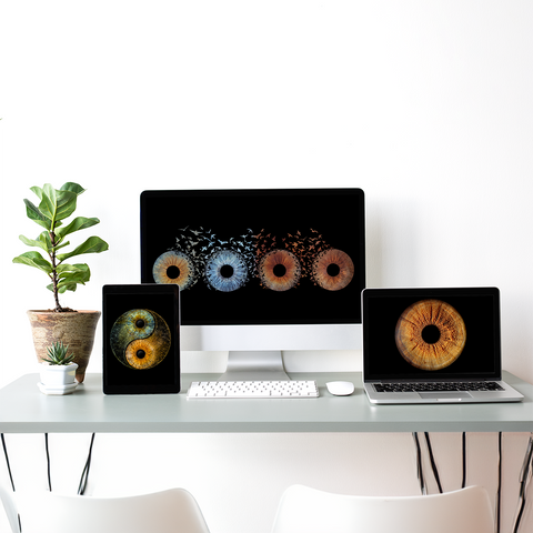 Digital Data - All Designs