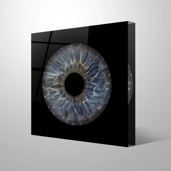 Only One Iris Art on Acrylic Block